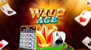 wild ace jili slot game